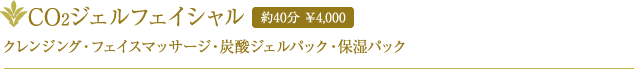 CO2ジェルフェイシャル